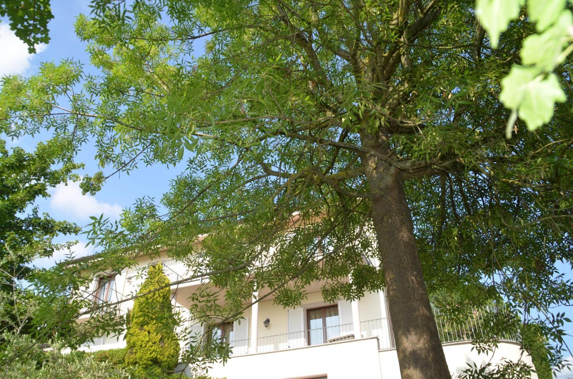 Villa Patrizia Moncalvo Εξωτερικό φωτογραφία
